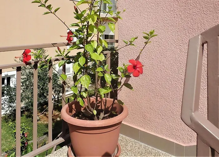 House In Near Paklenica Park